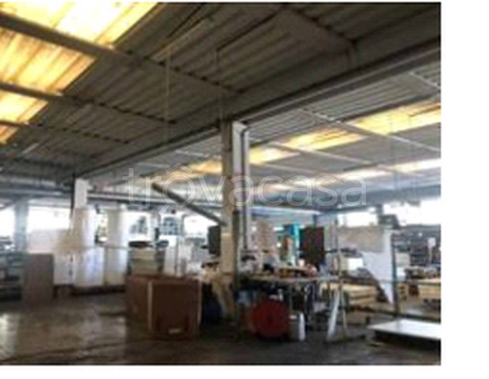 immagine annuncio 6 di 12