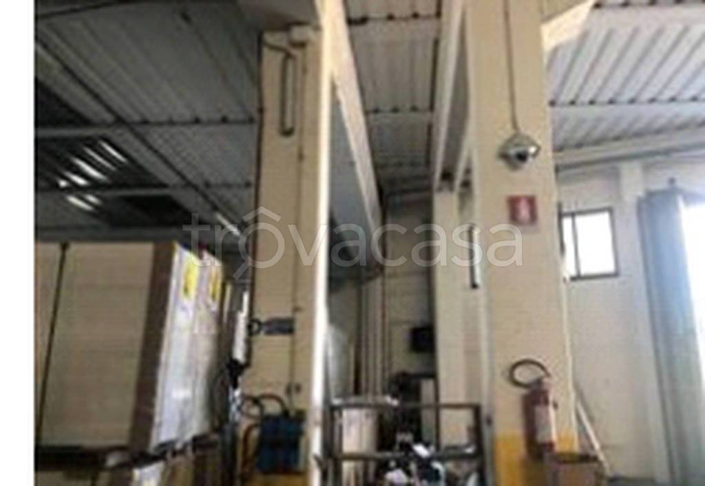 immagine annuncio 8 di 12