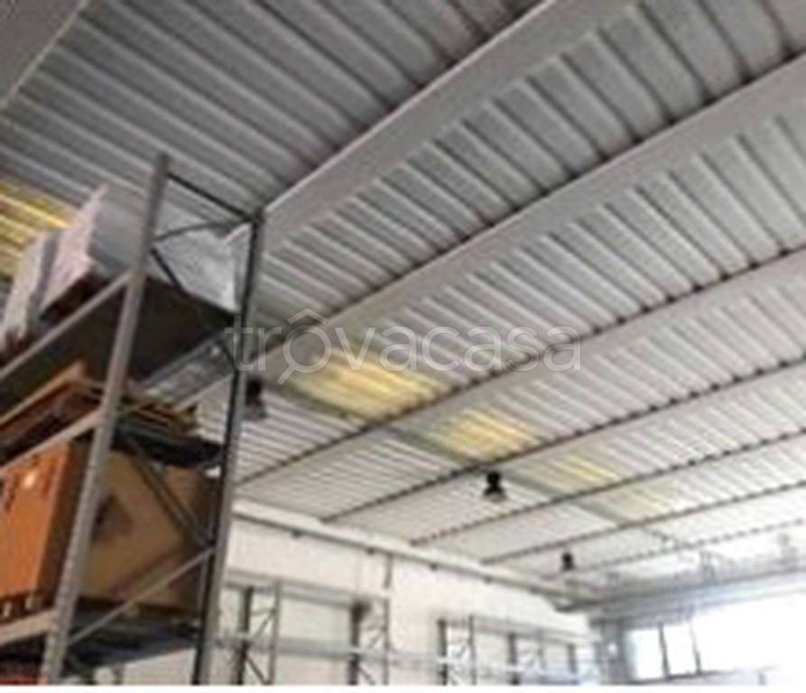 immagine annuncio 9 di 12