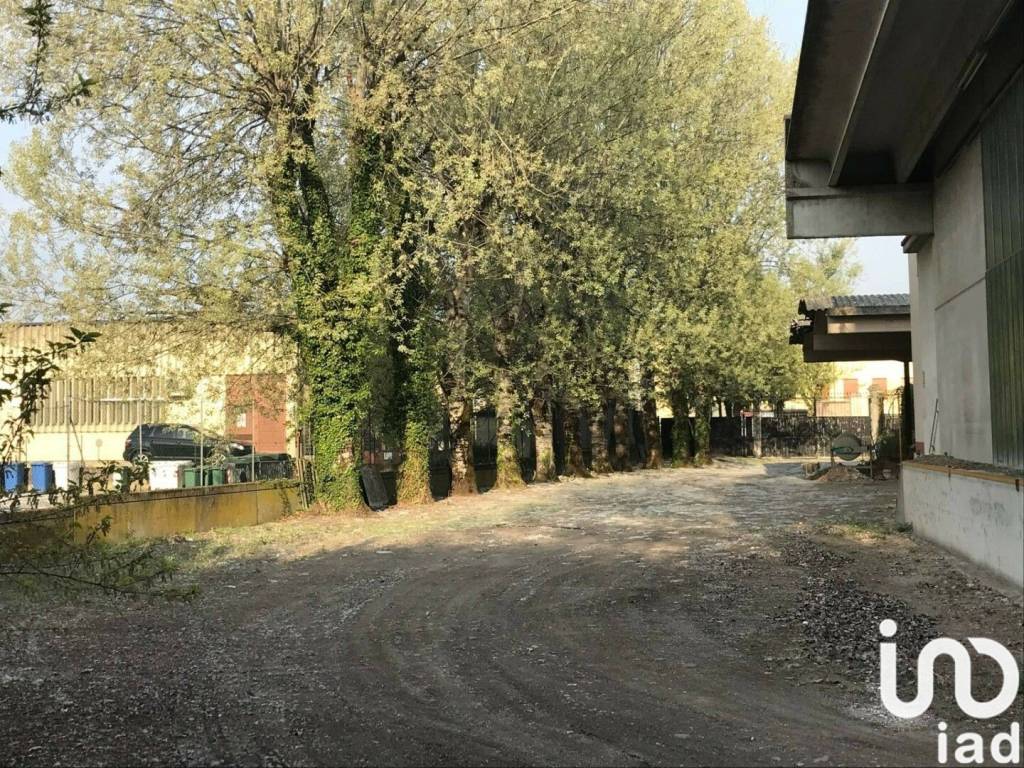 immagine annuncio 13 di 15