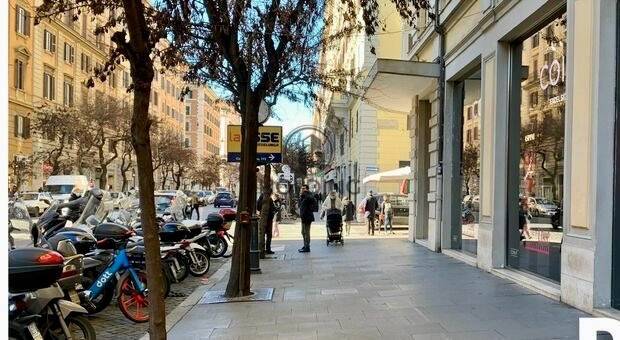 immagine annuncio 8 di 12