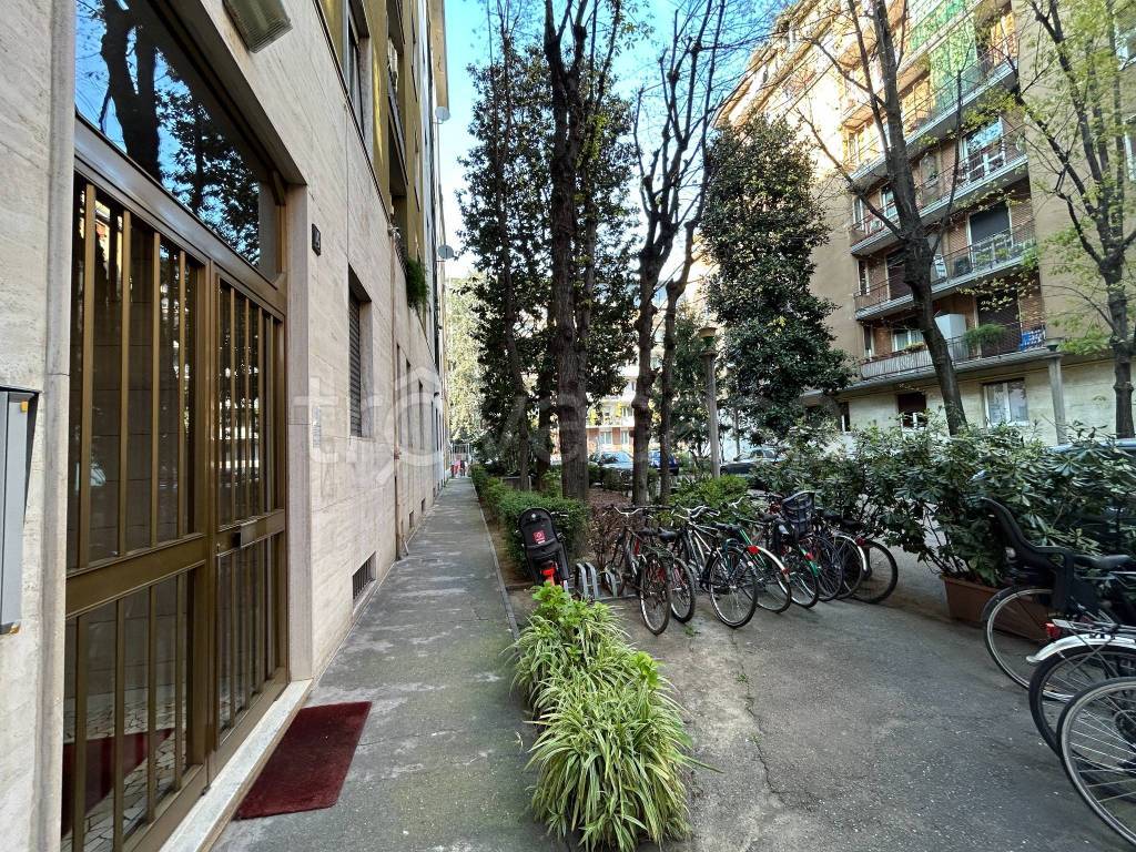 immagine annuncio 11 di 14