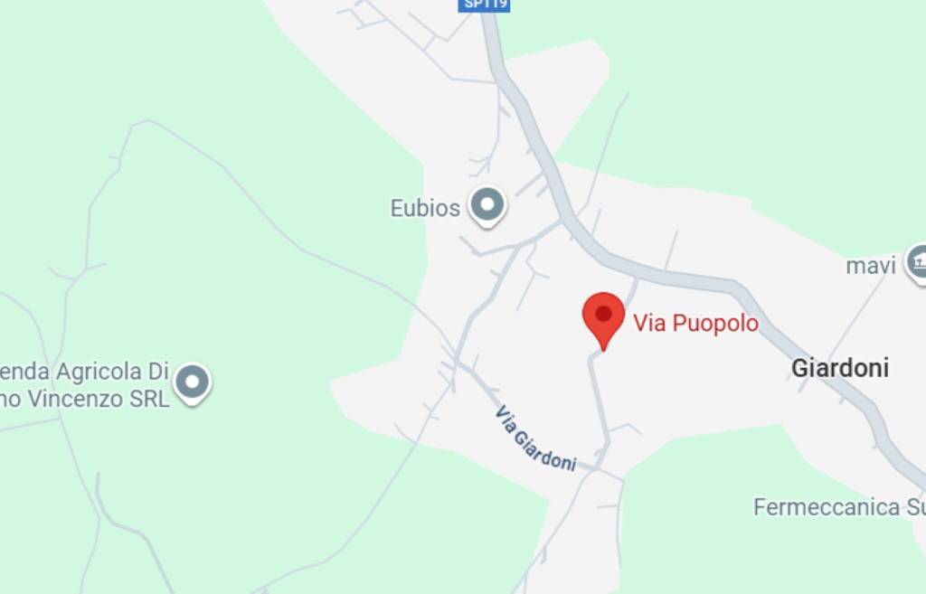 immagine annuncio 7 di 11