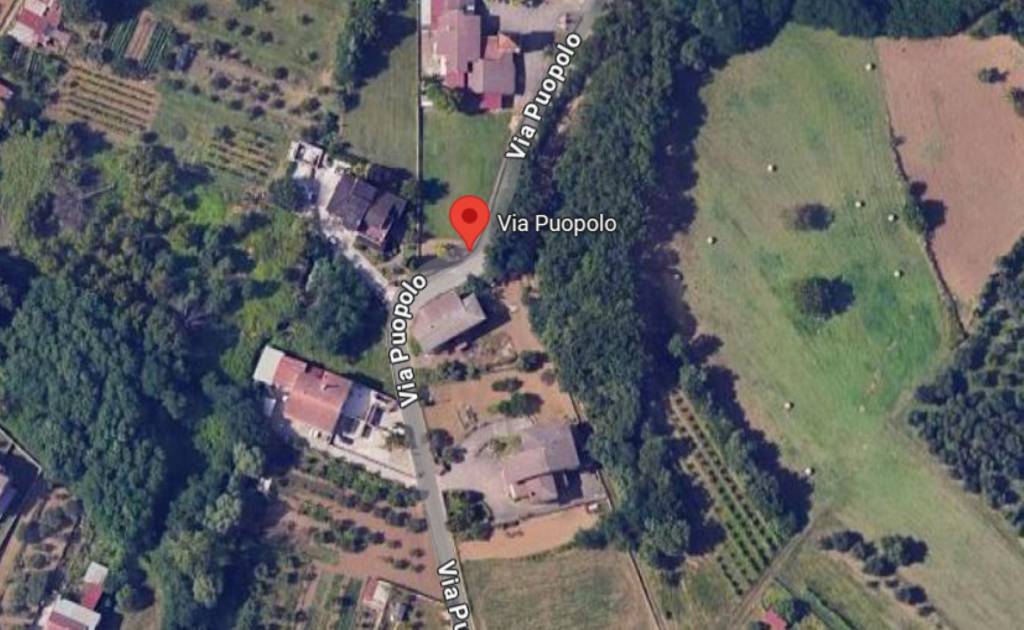 immagine annuncio 10 di 11