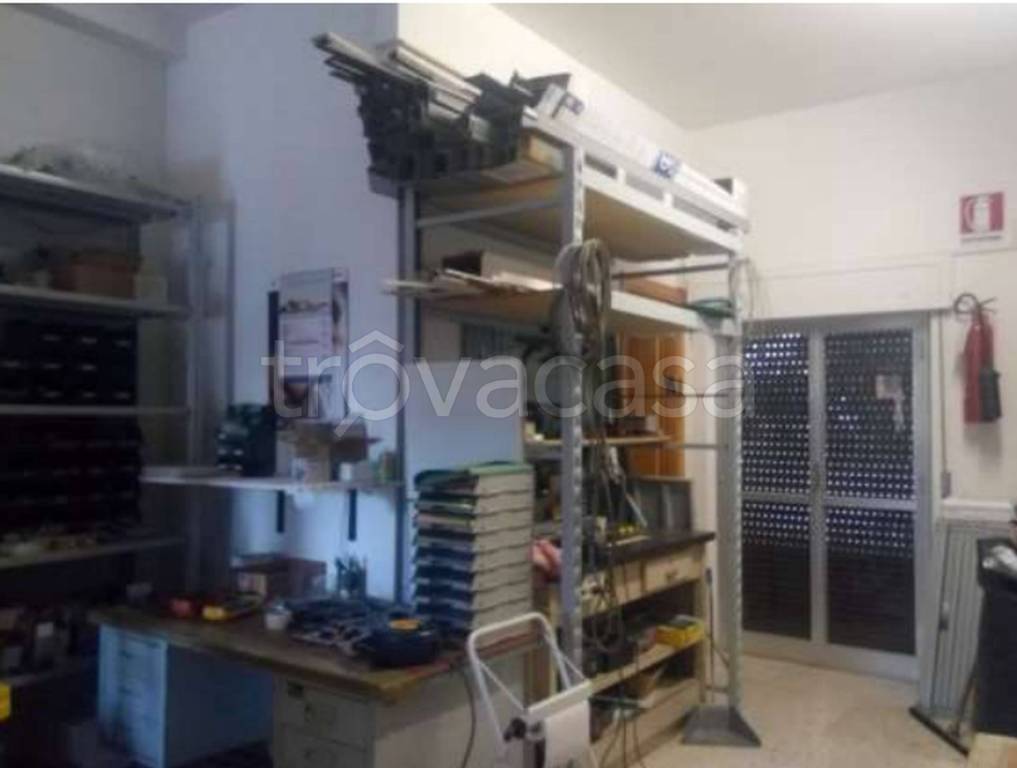 immagine annuncio 3 di 12