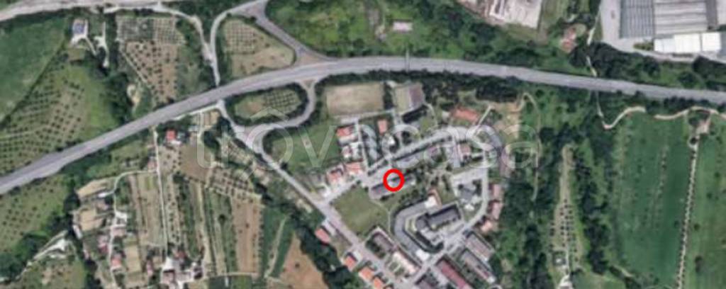 immagine annuncio 9 di 12