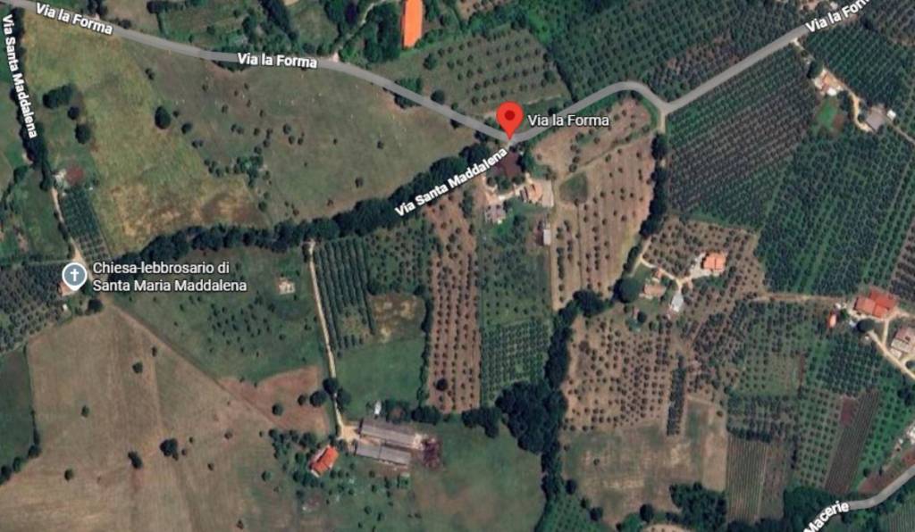 immagine annuncio 2 di 11