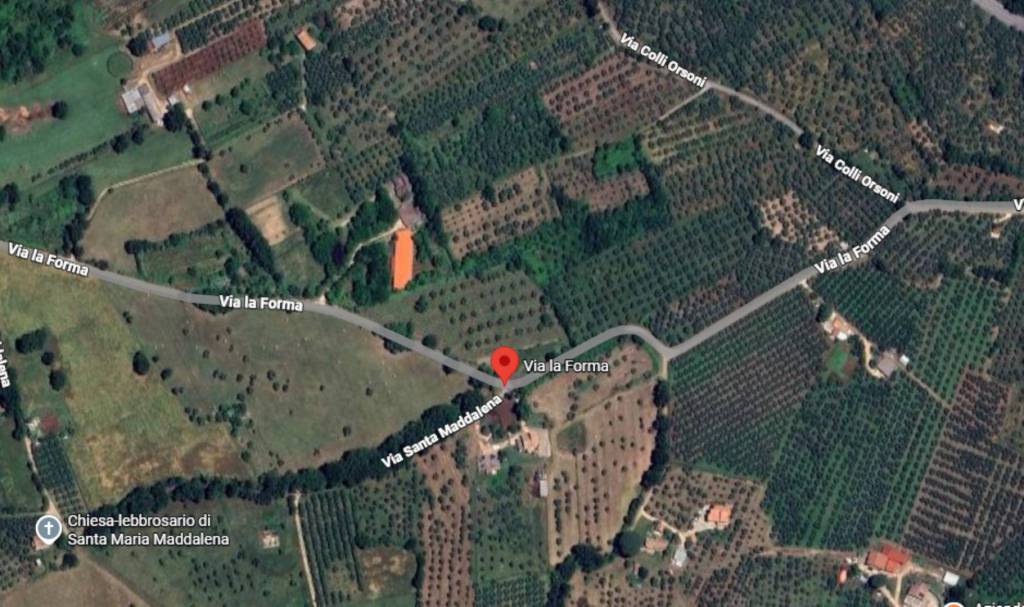 immagine annuncio 4 di 11