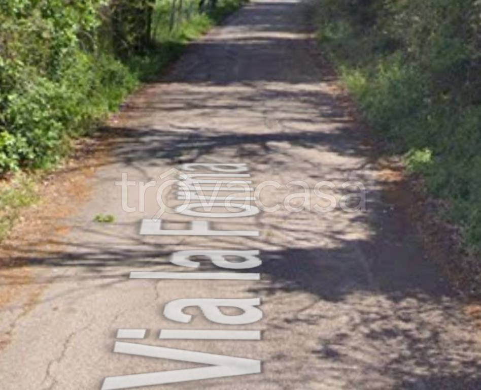 immagine annuncio 5 di 11