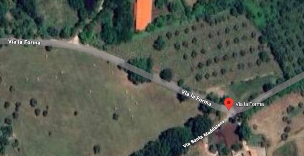 immagine annuncio 9 di 11