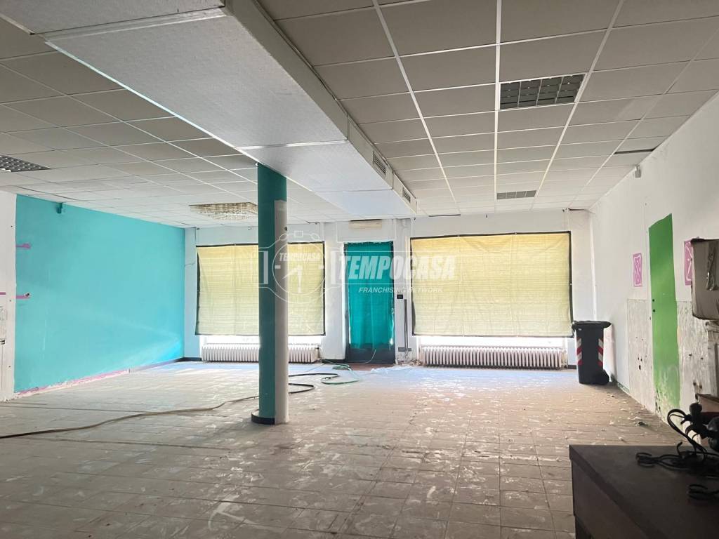 immagine annuncio 1 di 14