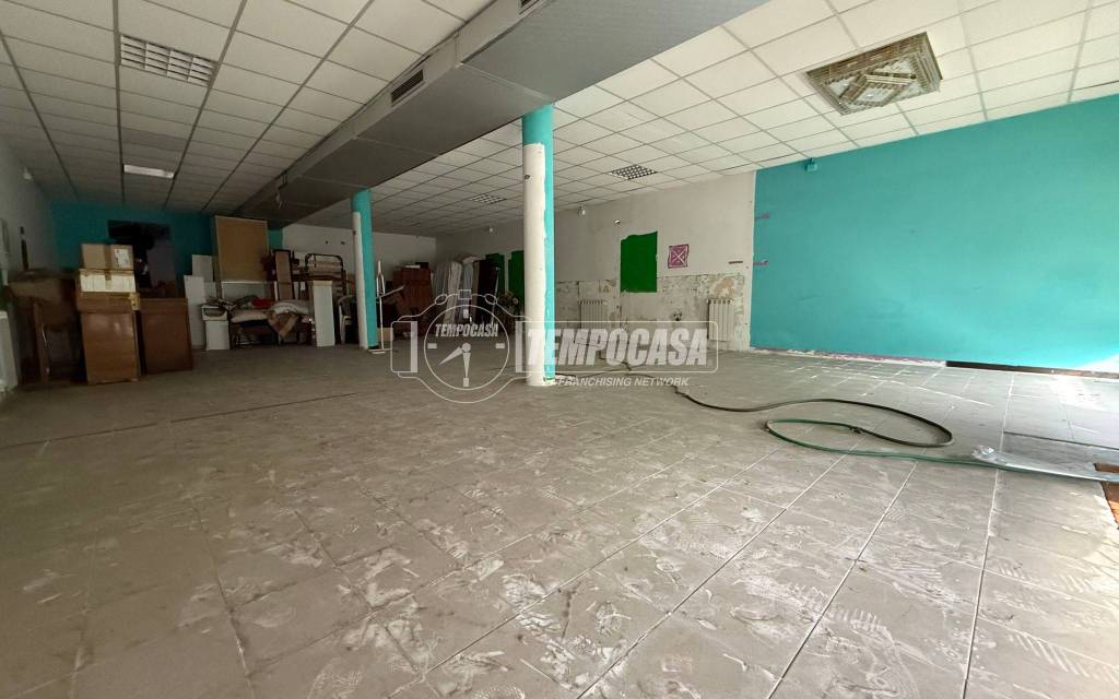 immagine annuncio 3 di 14