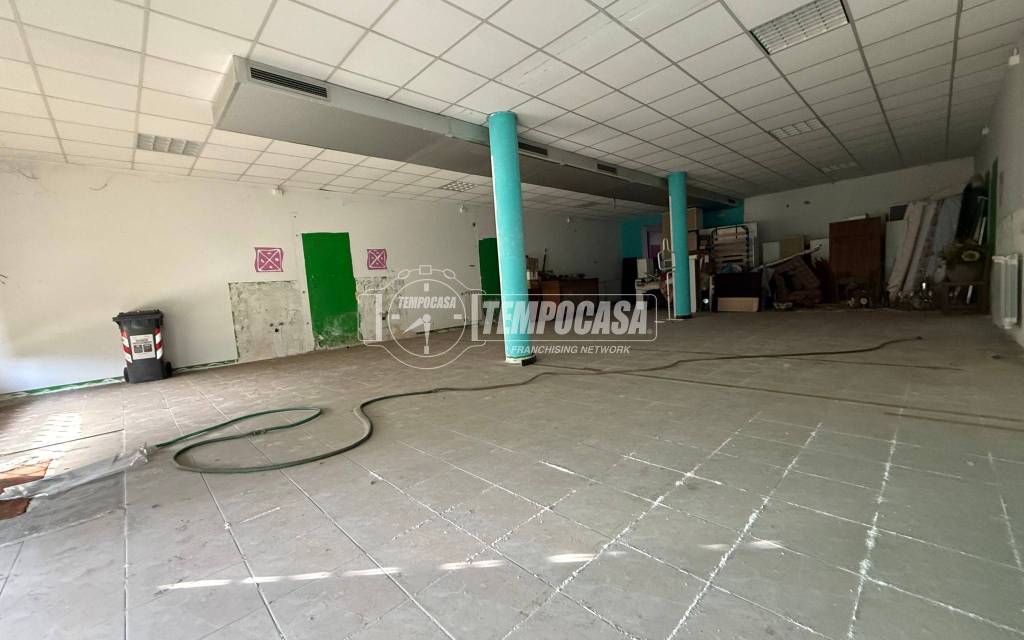 immagine annuncio 4 di 14