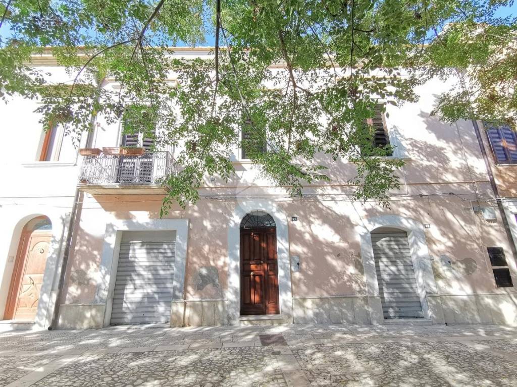 immagine annuncio 12 di 13