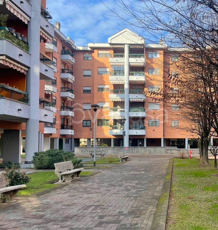 immagine annuncio 1 di 15