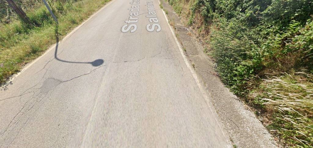 immagine annuncio 4 di 13