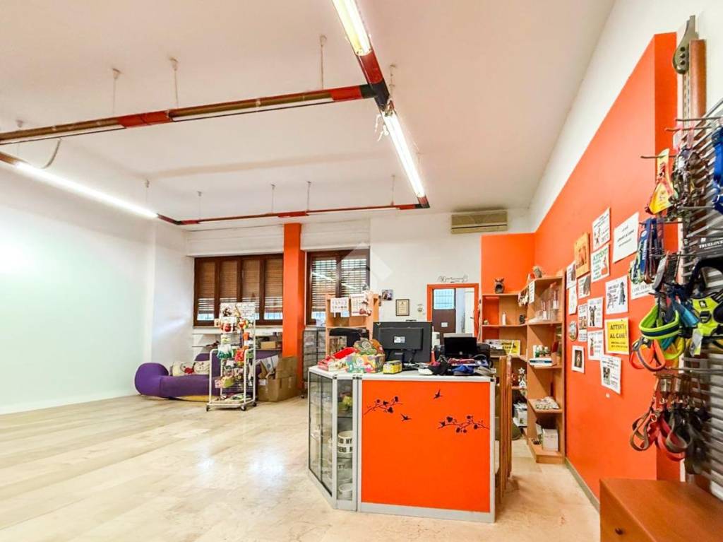 immagine annuncio 2 di 15