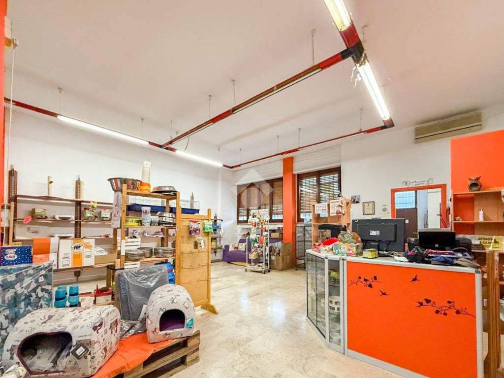 immagine annuncio 8 di 15