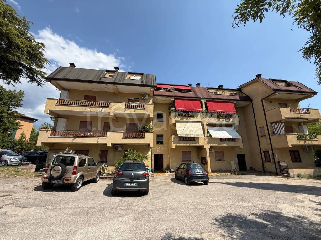 immagine annuncio 1 di 14