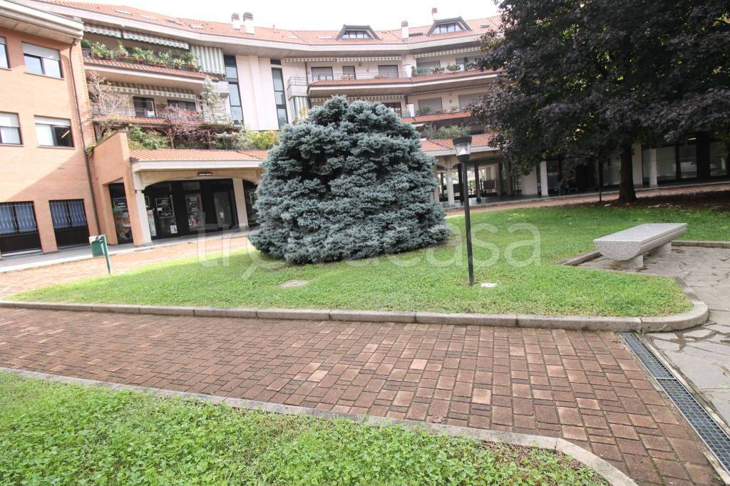 immagine annuncio 9 di 15