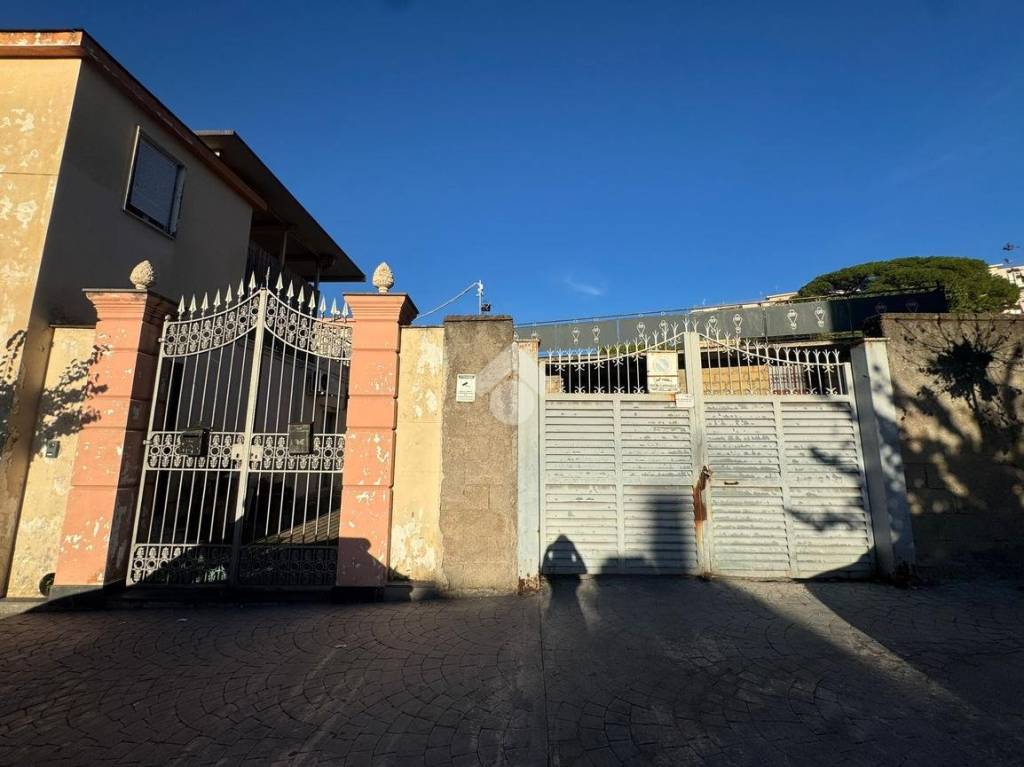 immagine annuncio 12 di 14