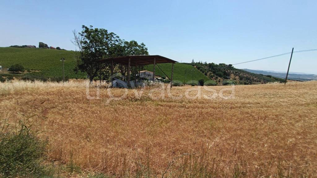 immagine annuncio 1 di 6