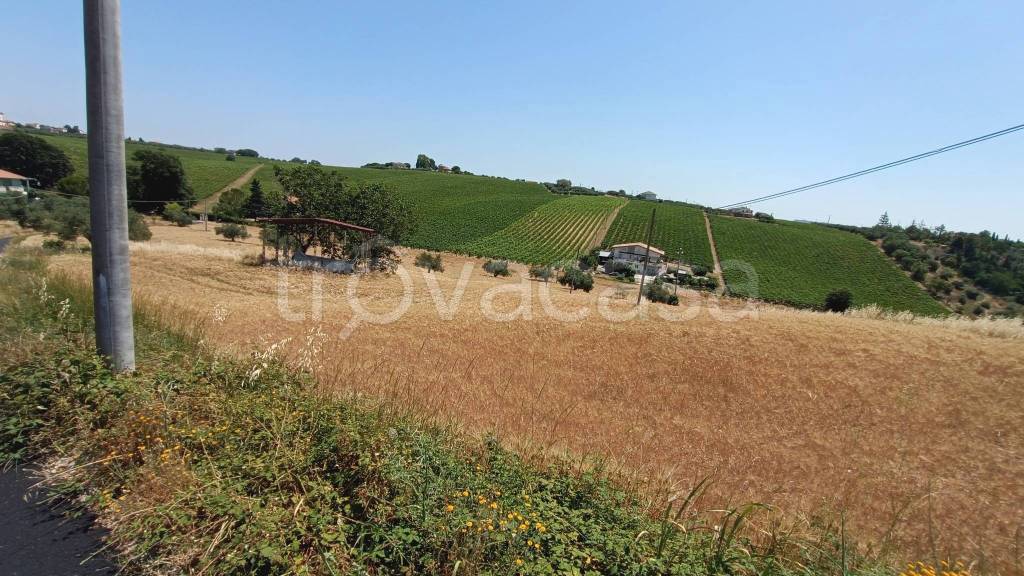 immagine annuncio 2 di 6