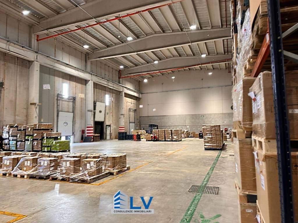 immagine annuncio 1 di 12