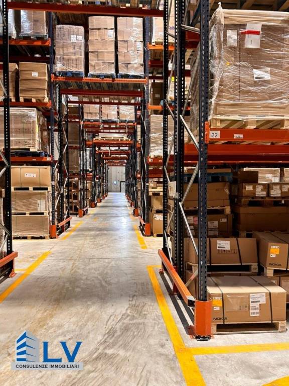 immagine annuncio 2 di 12