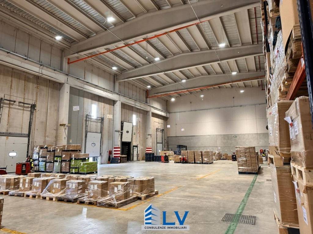 immagine annuncio 5 di 12