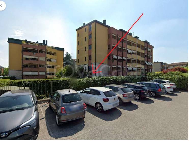 immagine annuncio 9 di 15