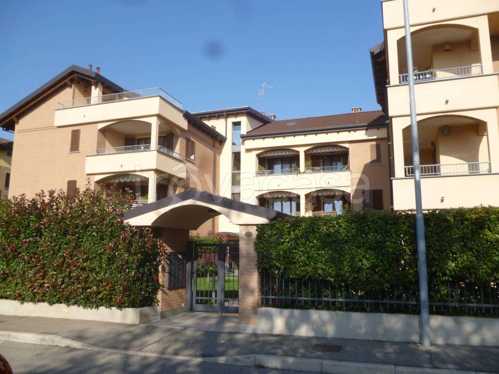 immagine annuncio 1 di 12