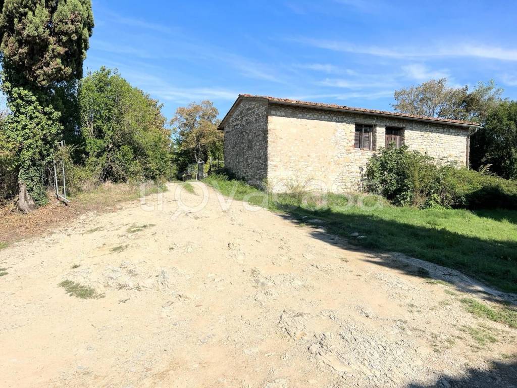 immagine annuncio 4 di 14
