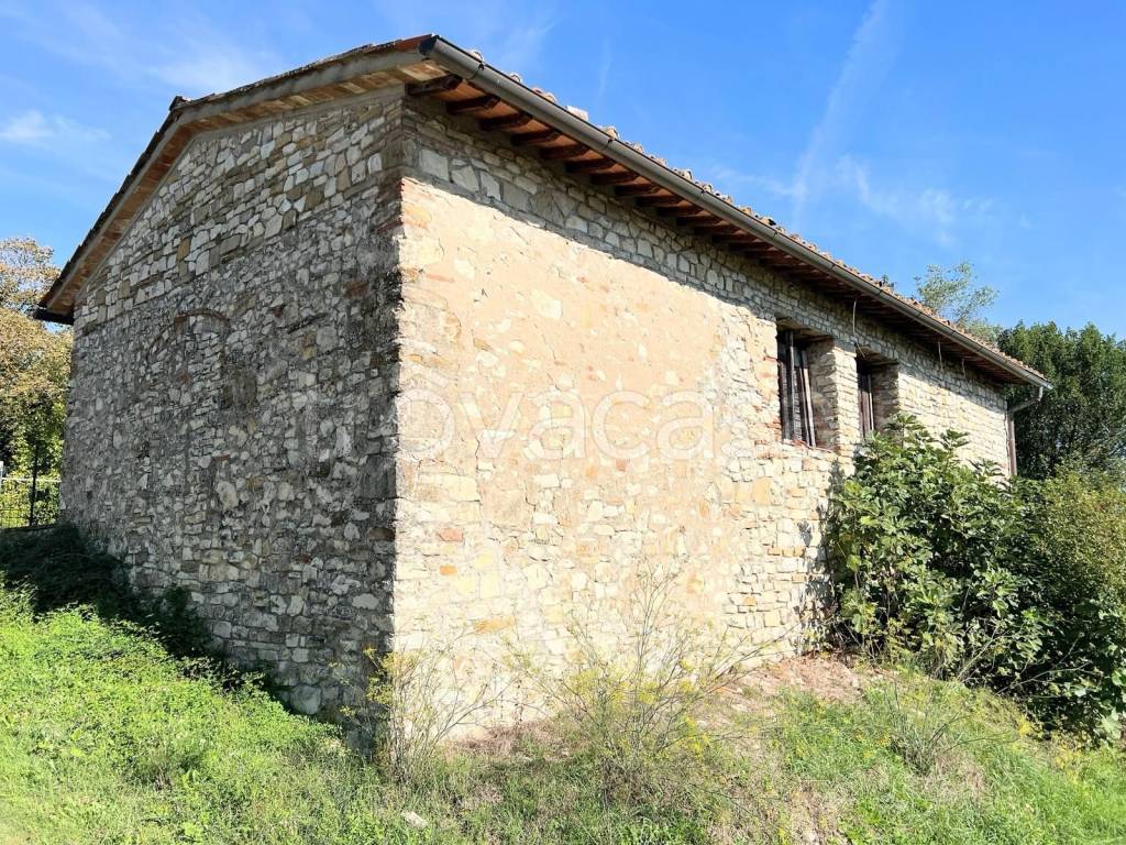 immagine annuncio 7 di 14