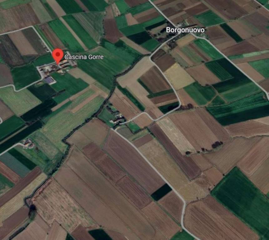 immagine annuncio 6 di 8