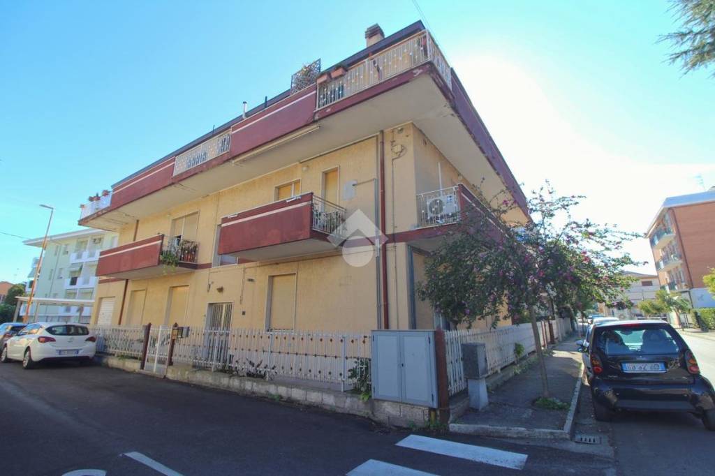 immagine annuncio 1 di 12