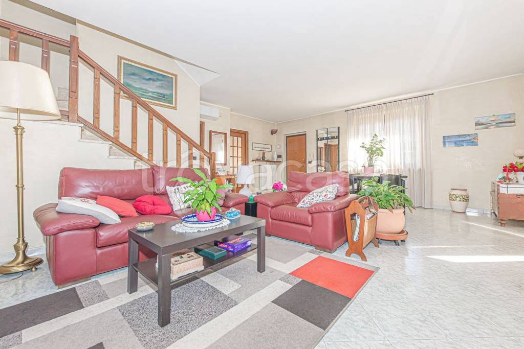 immagine annuncio 5 di 15