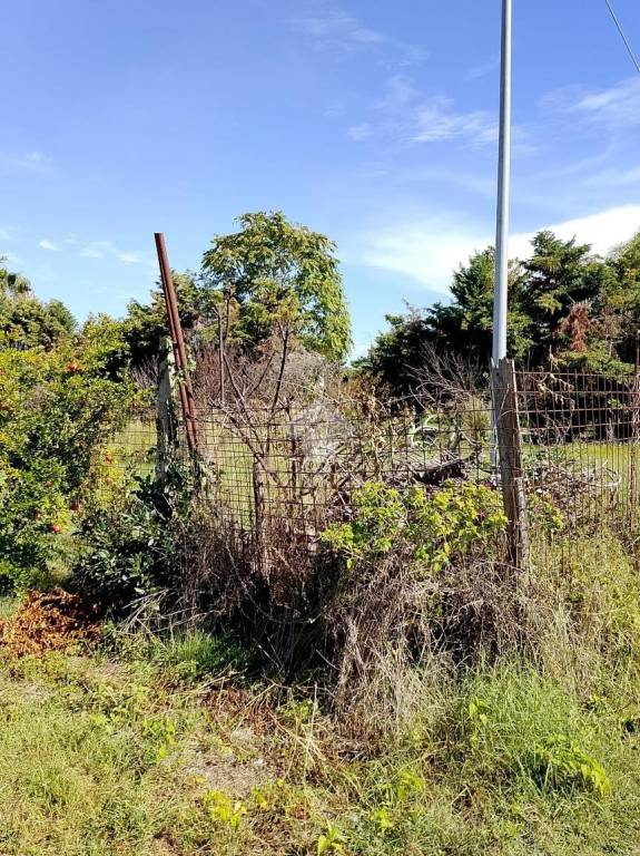 immagine annuncio 6 di 12