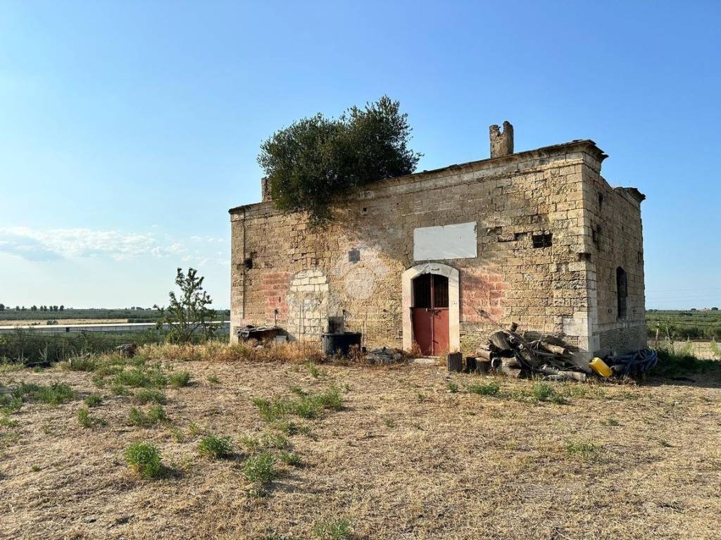 immagine annuncio 11 di 15