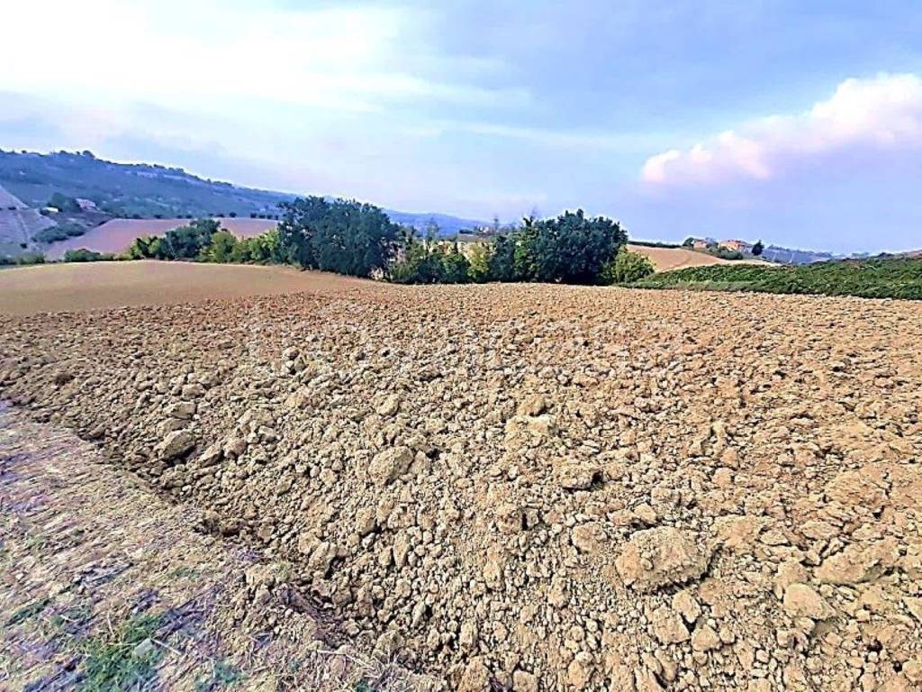 immagine annuncio 3 di 14