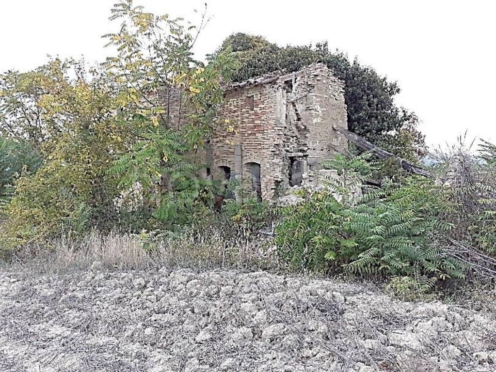 immagine annuncio 4 di 14