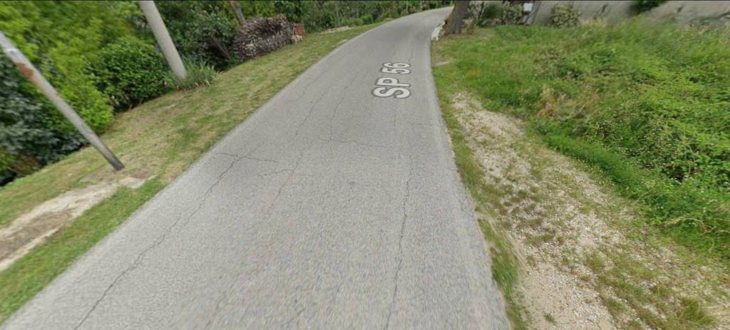 immagine annuncio 6 di 14