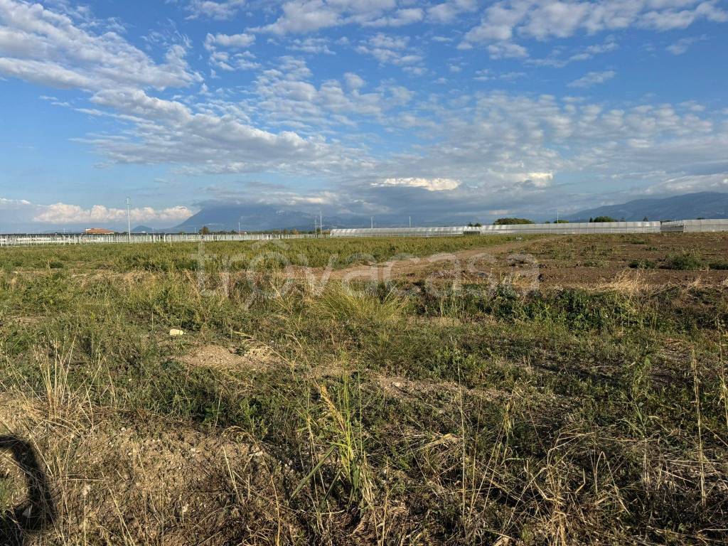 immagine annuncio 7 di 12