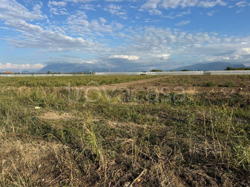 immagine annuncio 8 di 12