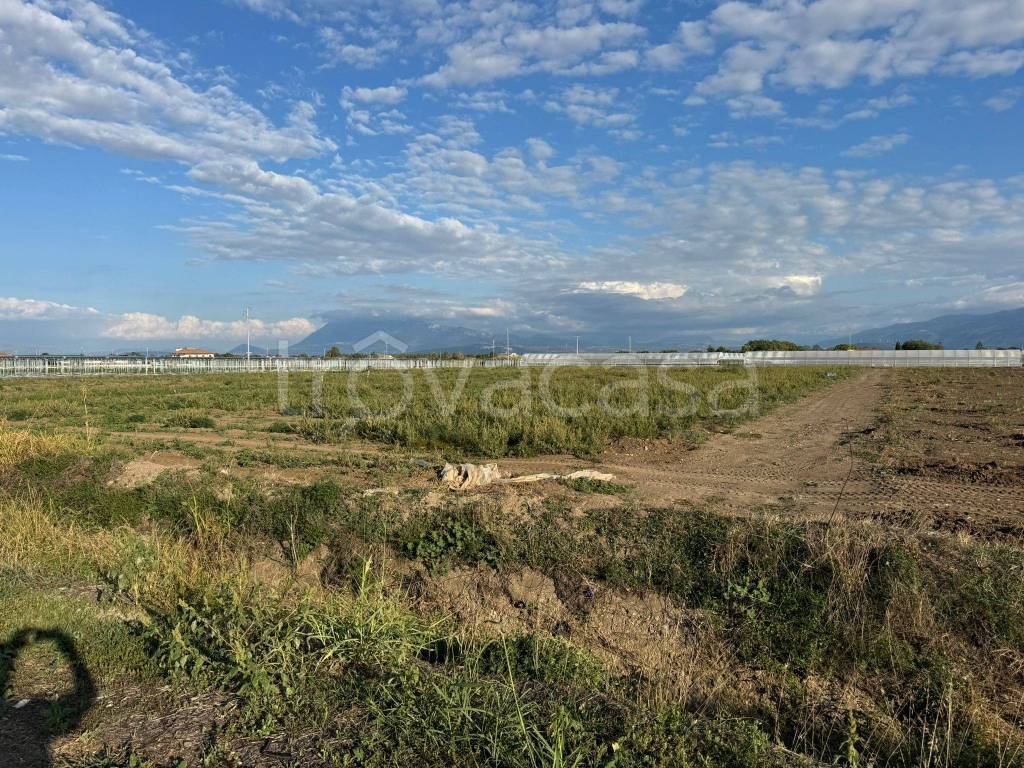 immagine annuncio 9 di 12