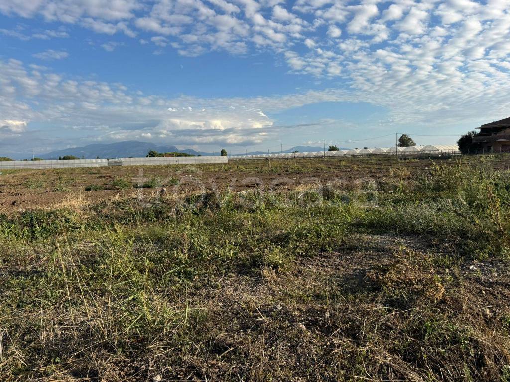 immagine annuncio 10 di 12