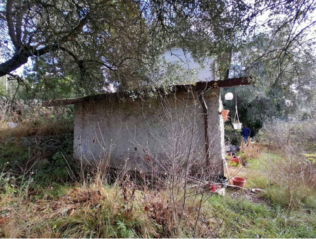 immagine annuncio 4 di 13