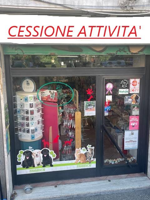 immagine annuncio 2 di 4