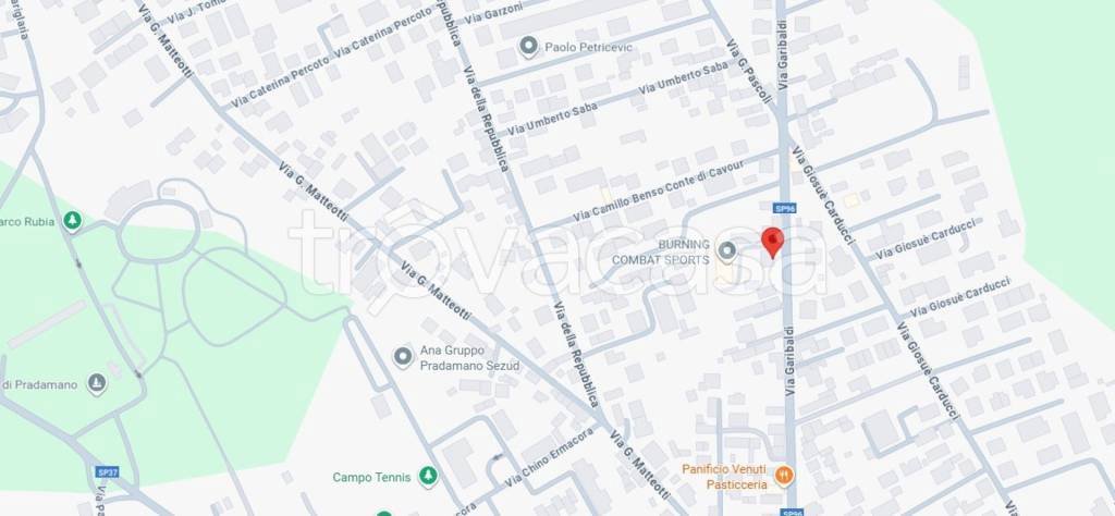 immagine annuncio 12 di 14