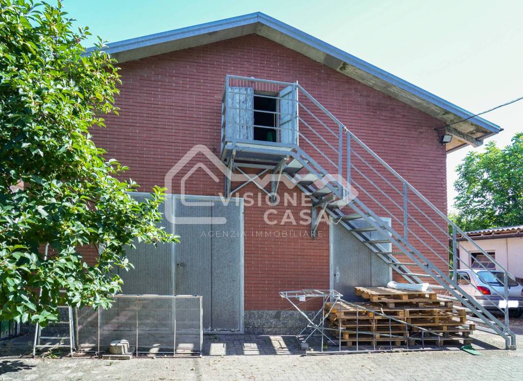 immagine annuncio 11 di 15